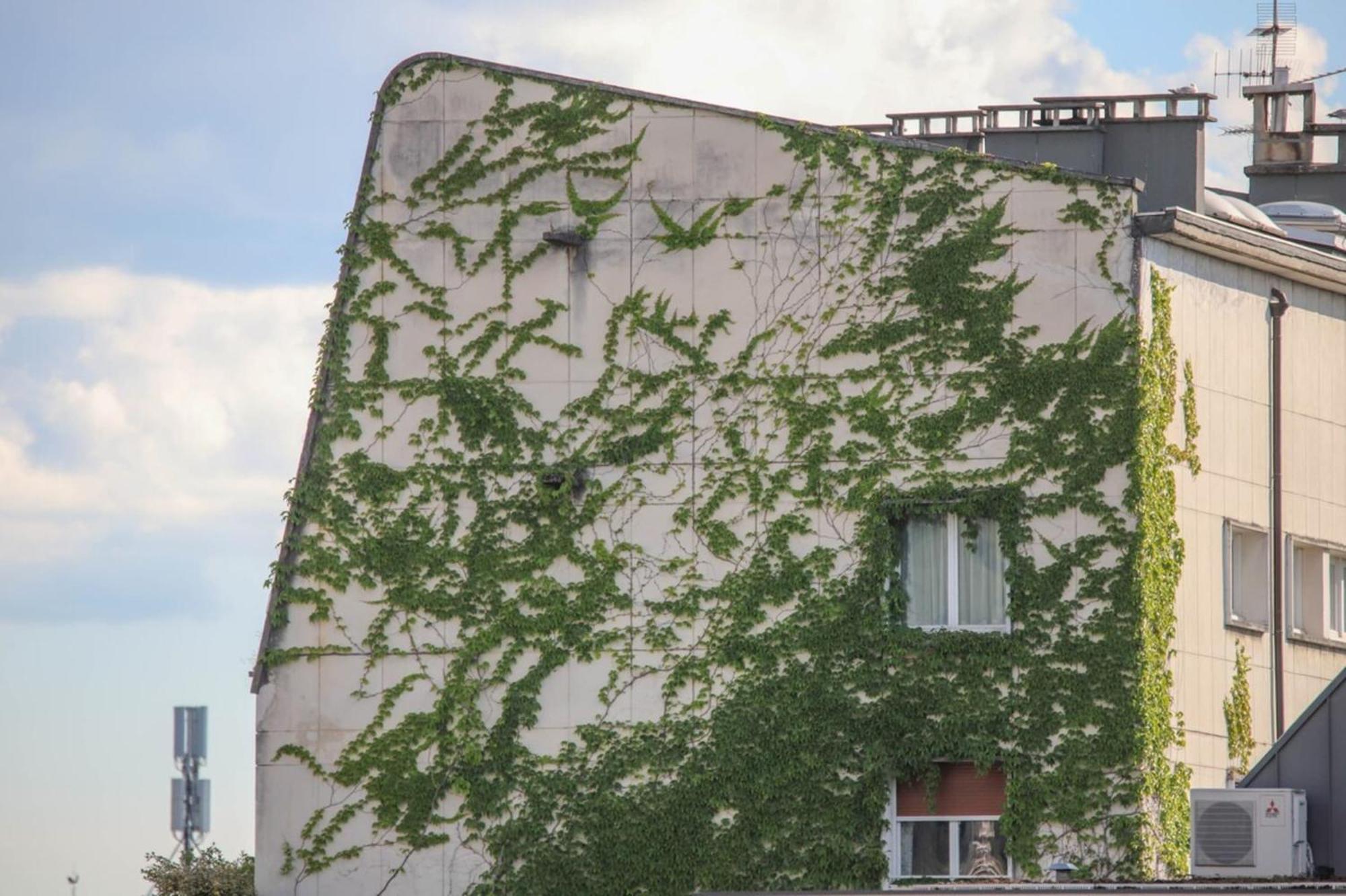 La Pause Annecienne Appartement Familial 안시 외부 사진